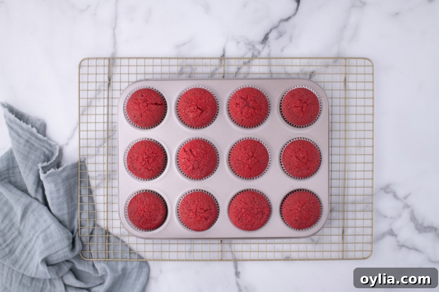 Freshly baked red velvet cupcakes cooling in a cupcake tin on a wire rack
