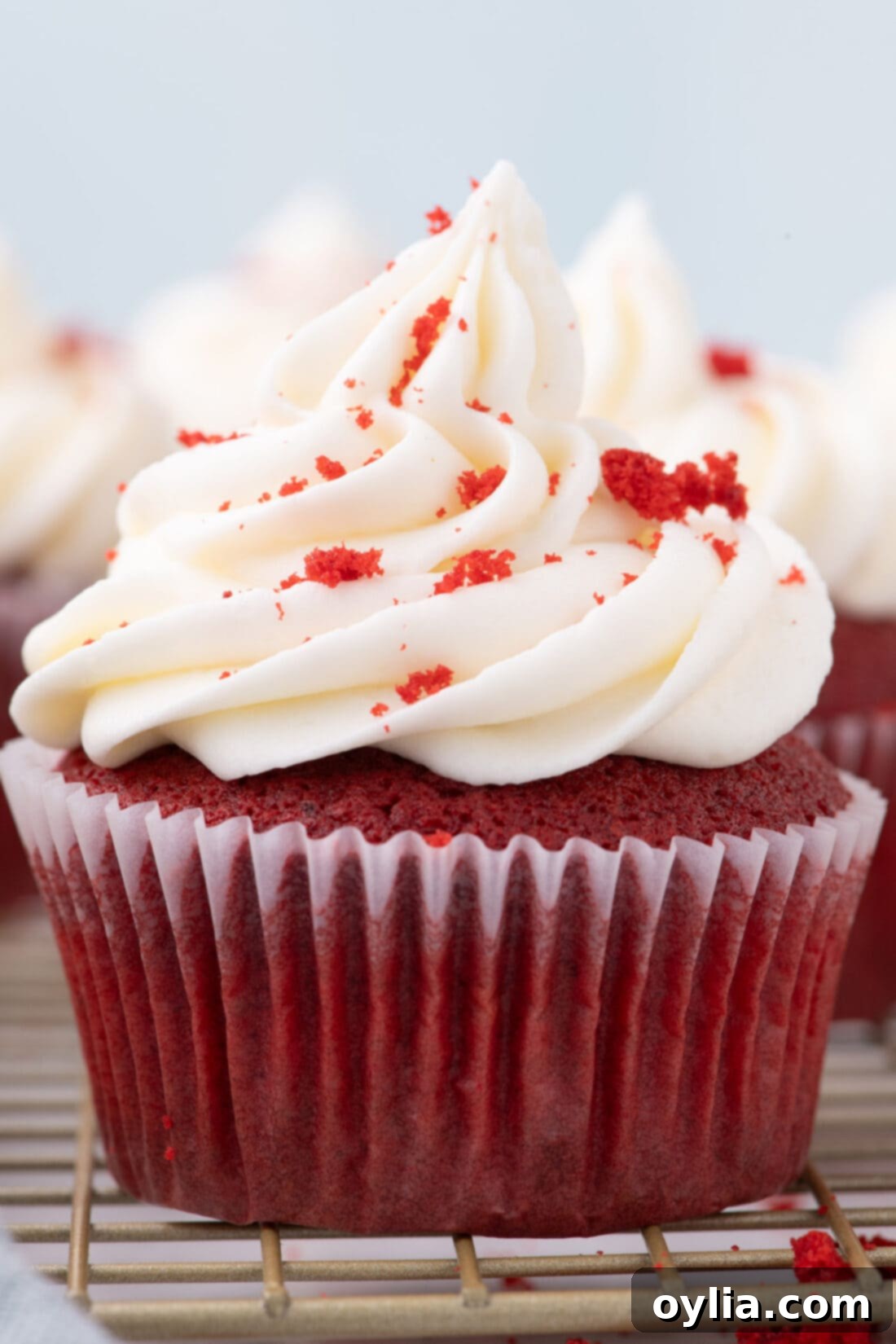 Close up photo of a beautifully decorated Red Velvet Cupcake with swirling cream cheese frosting