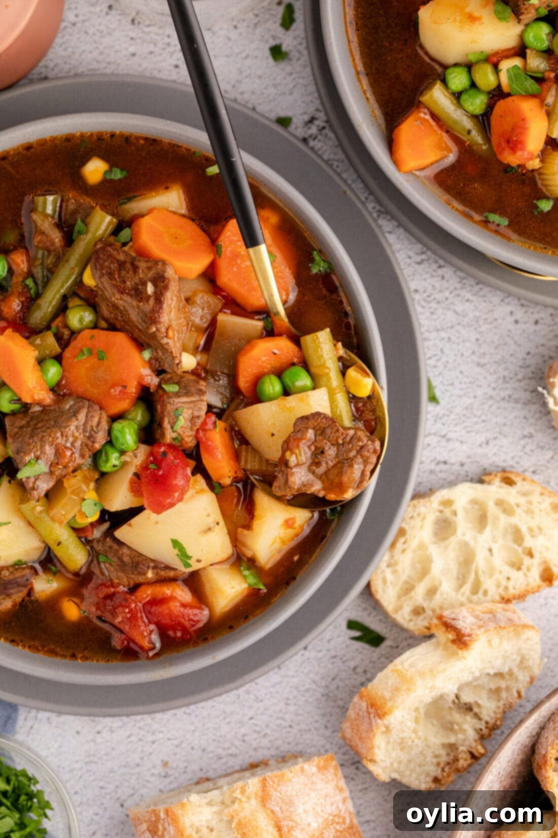 Close up photo of a bowl of Vegetable Beef Soup