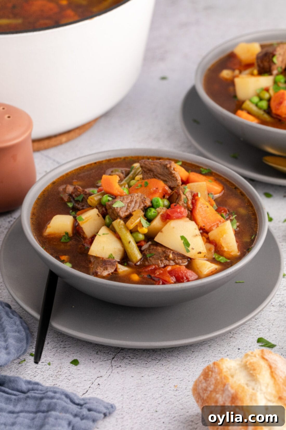 Bowl of Vegetable Beef Soup