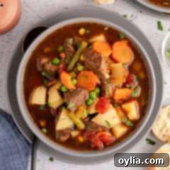 Overhead photo of a bowl of Vegetable Beef Soup