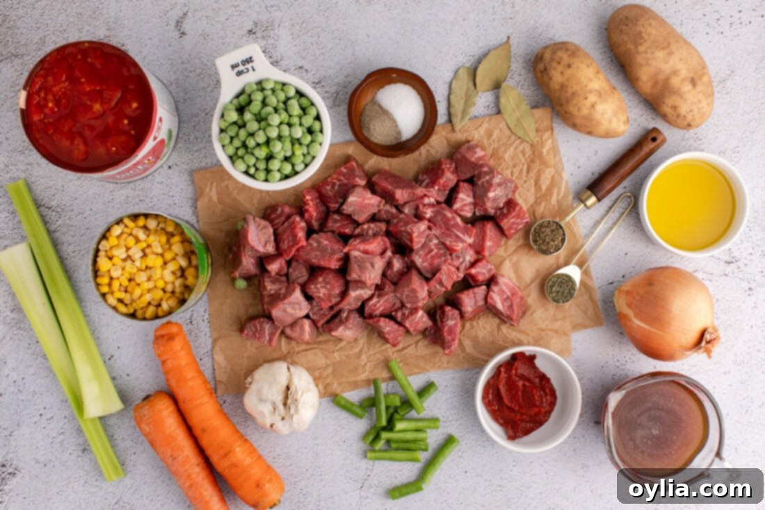 Ingredients for Vegetable Beef Soup