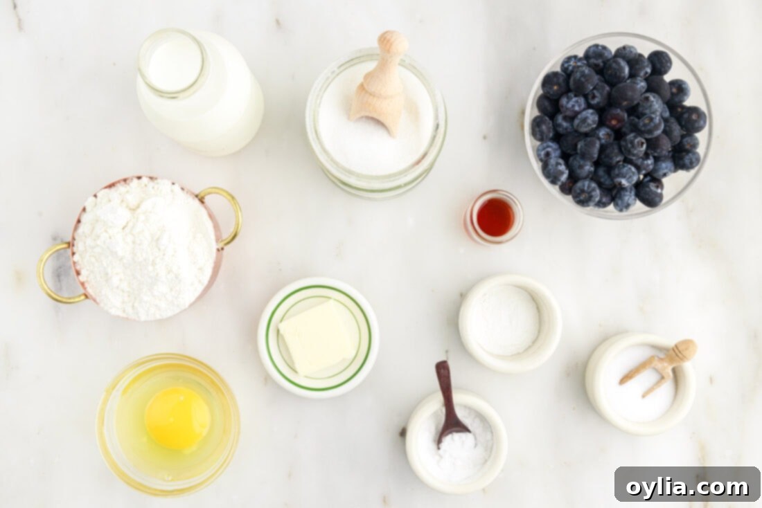 Berry Burst Pancakes 4 A flat lay photograph showcasing all the fresh ingredients ready for making blueberry pancakes, including flour, sugar, baking powder, baking soda, salt, egg, melted butter, vanilla, buttermilk, and fresh blueberries.