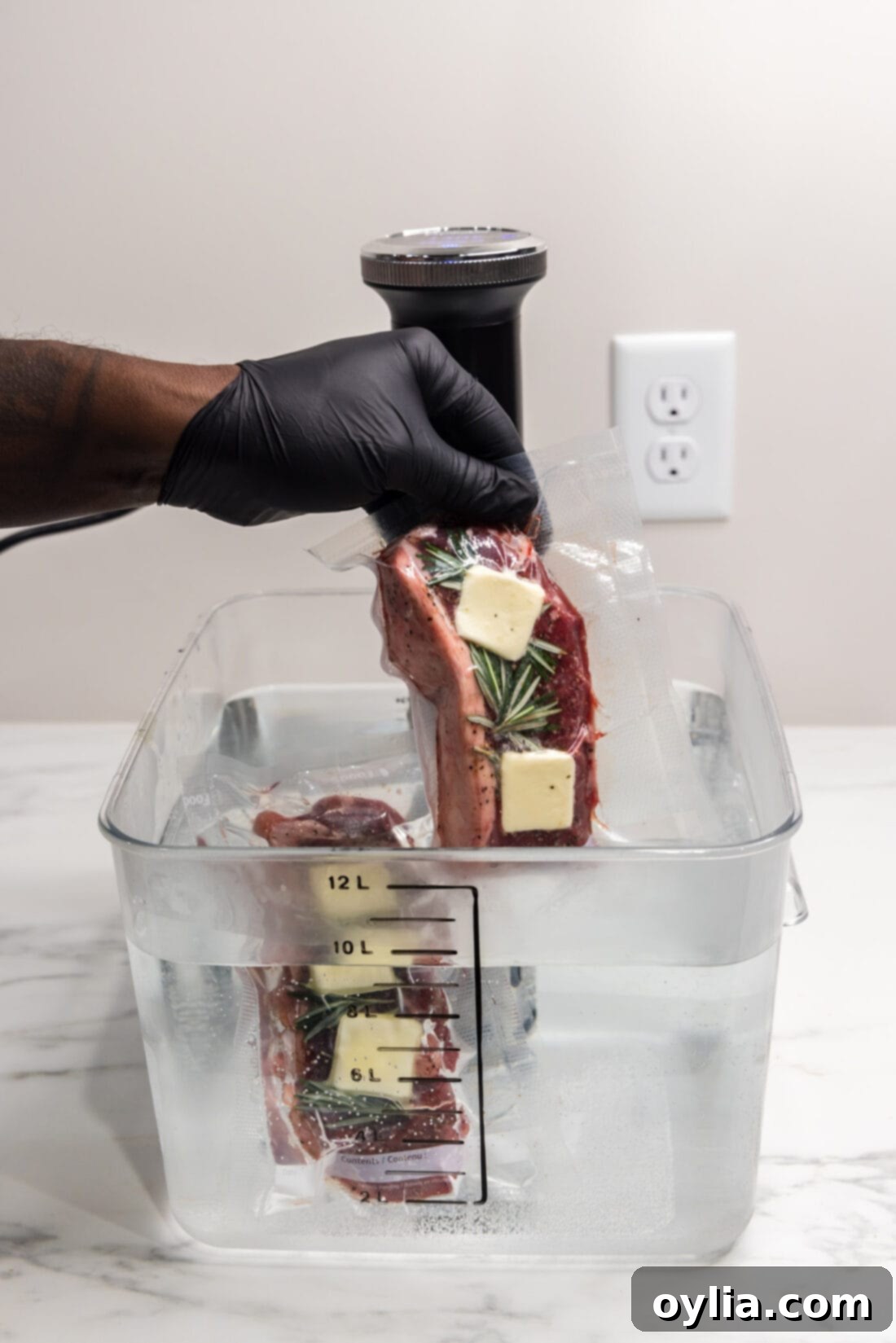 A vacuum-sealed steak being carefully lowered into a sous vide water bath container.