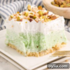 Ultimate Pistachio Ice Cream Cake 13 Close up photo of a square of Pistachio Ice Cream Cake on a plate with a bite removed