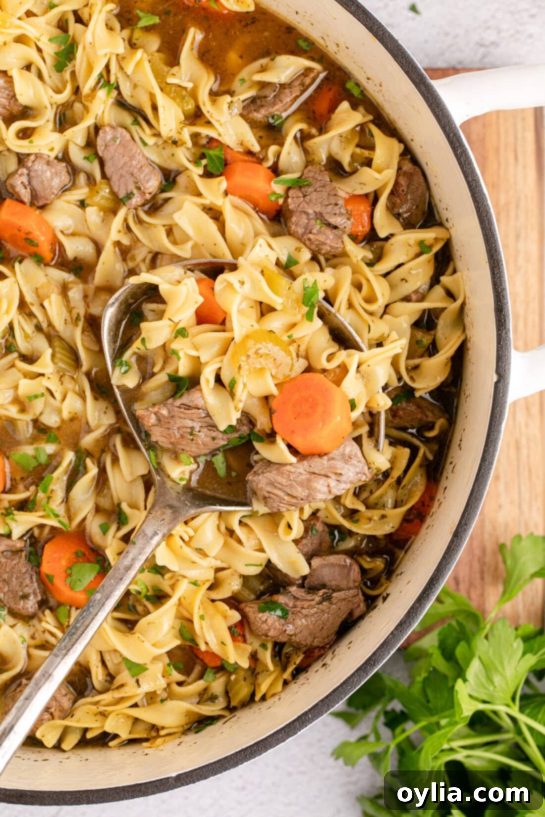 Hearty Beef Noodle Bliss 12 Close up photo of a pot of rich, simmering Beef Noodle Soup ready to be served