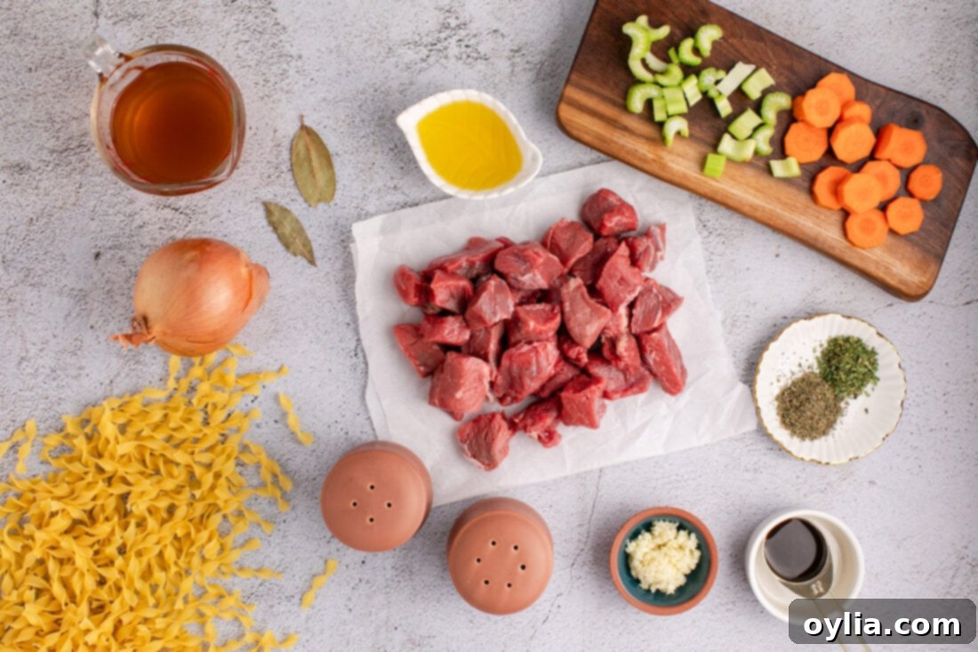Hearty Beef Noodle Bliss 4 Assortment of fresh ingredients for Beef Noodle Soup: beef stew meat, vegetables, and seasonings