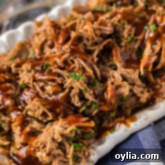 Pulled Pork Perfection 12 Close up photo of Pulled Pork with barbecue sauce drizzled on top