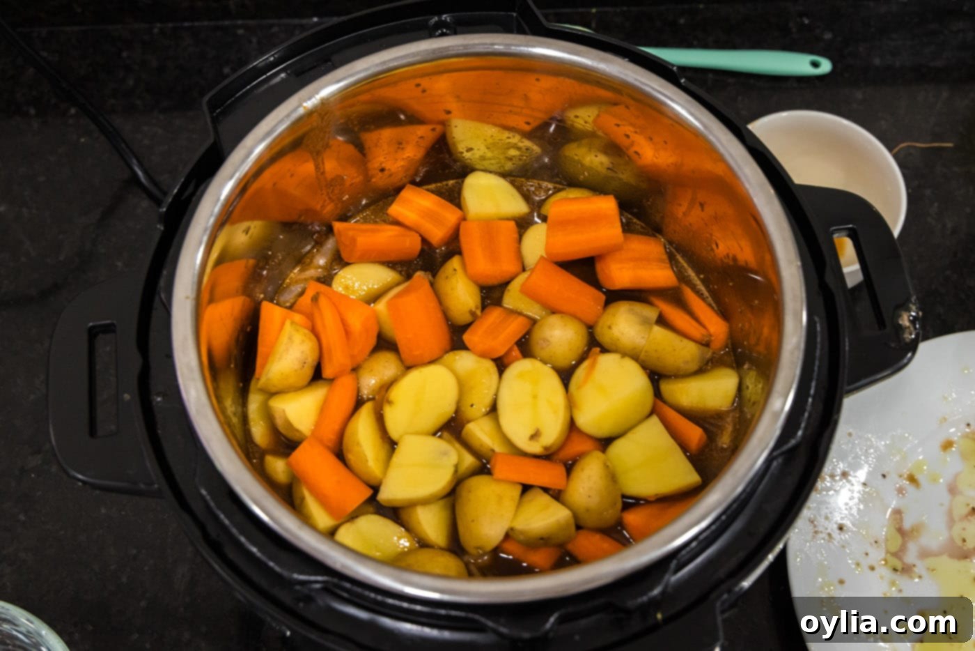 carrots and potatoes added to instant pot oxtail stew