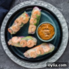 Plate of beautifully arranged Fresh Shrimp Spring Rolls