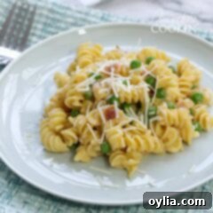 Rotini on a plate