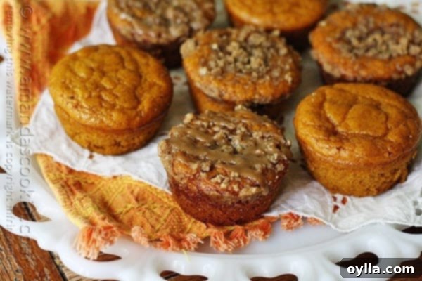 A close up photo of pumpkin mini cakes with cinnamon streusel topping.