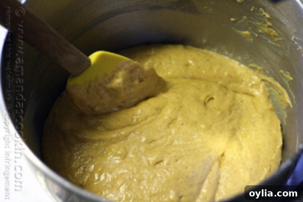 A photo of a spatula mixing the cake batter in a mixing bowl.