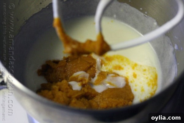 A close up photo of pumpkin being added to the yogurt mixture.