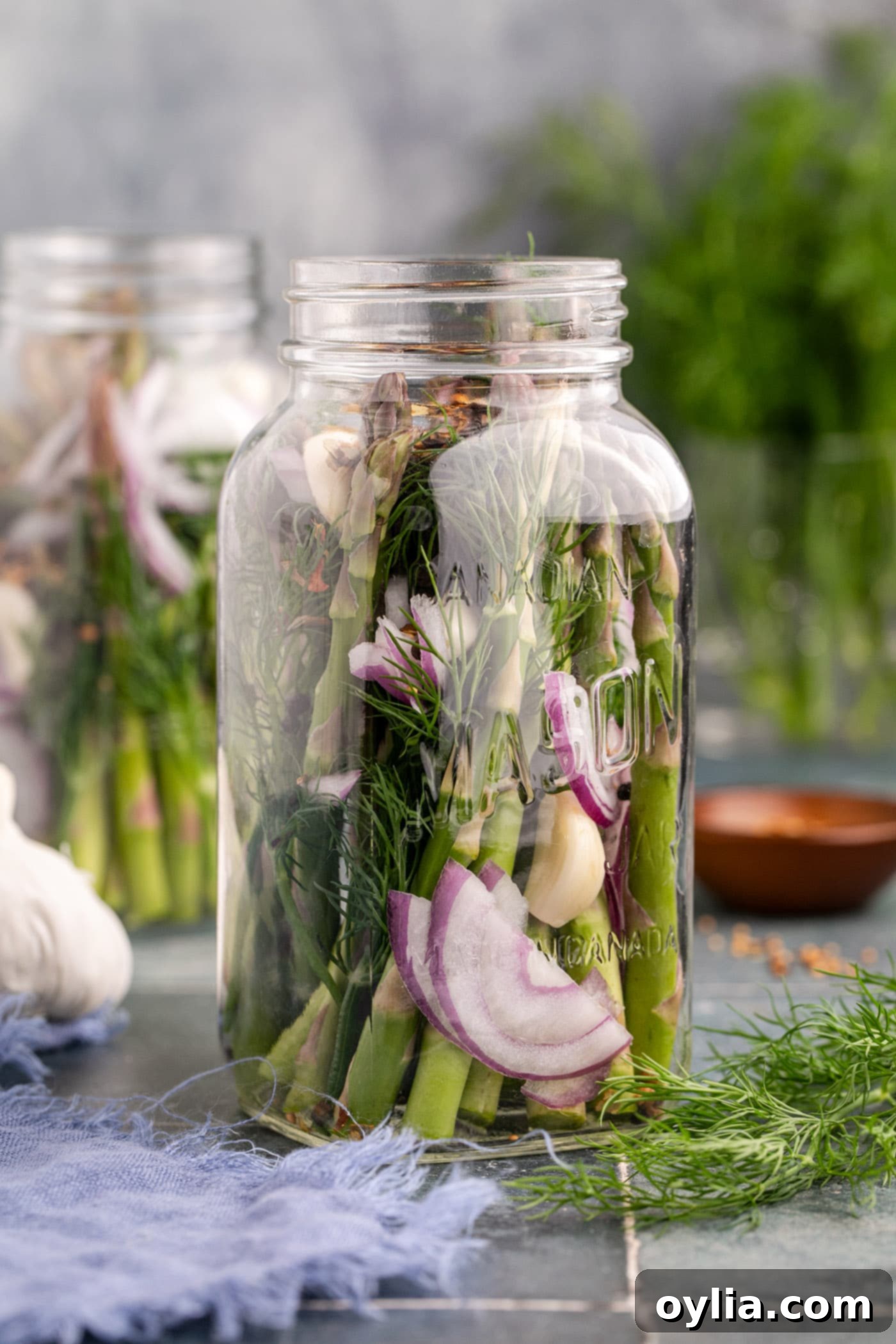 asparagus spears in jar with garlic, red onion, and fresh dill