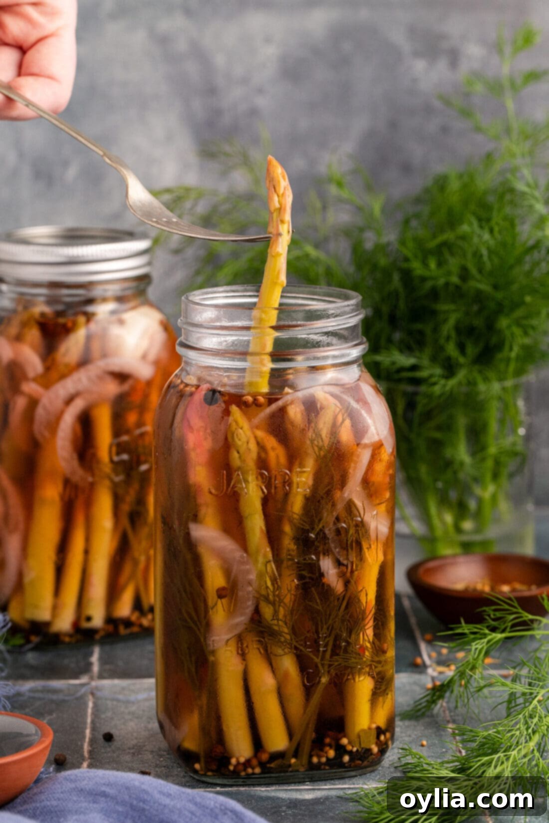 Piece of Pickled Asparagus being lifted out of the jar by a fork