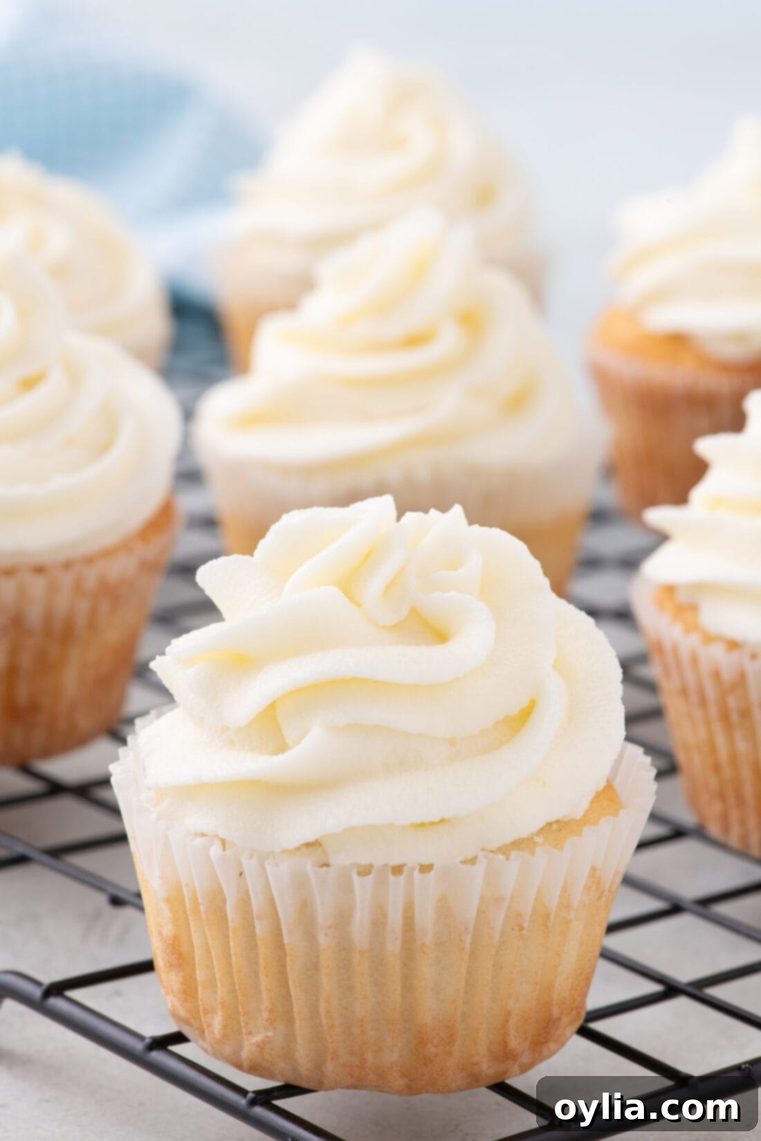 Vanilla Cupcakes on a a wire rack