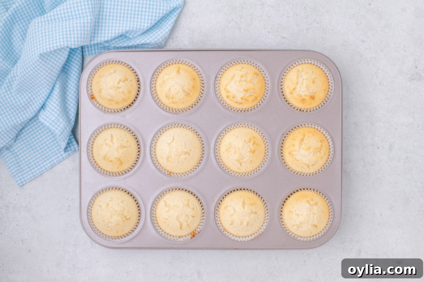 baked vanilla cupcakes in a muffin pan