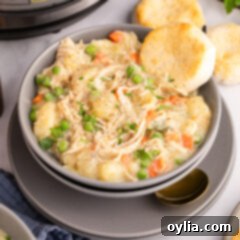 Instant Pot Chicken Pot Pie 6 Close up photo of a bowl of Instant Pot Chicken Pot Pie