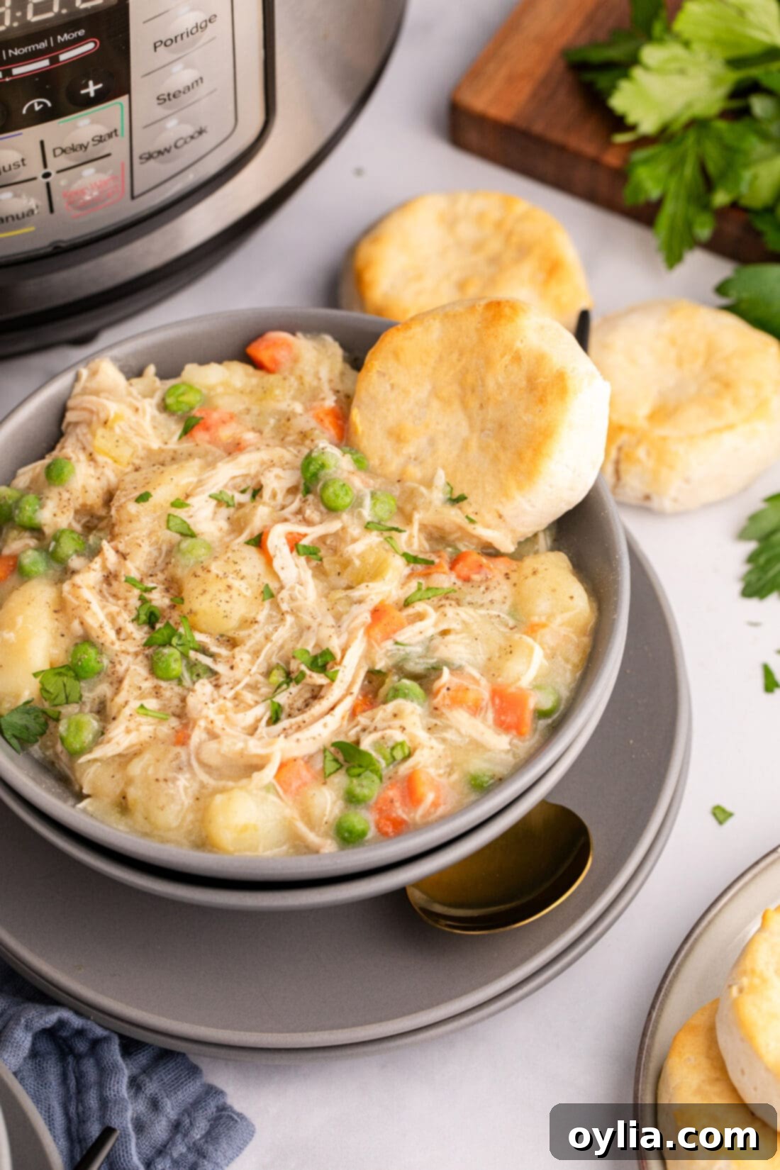 Instant Pot Chicken Pot Pie 3 Bowl of Instant Pot Chicken Pot Pie with biscuits on the side