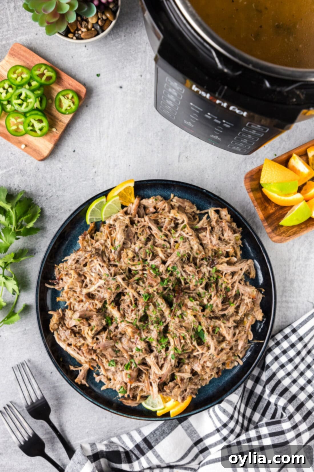 Crispy Instant Pot Carnitas 15 A vibrant plate of Instant Pot Carnitas, perfectly cooked and ready to be enjoyed.