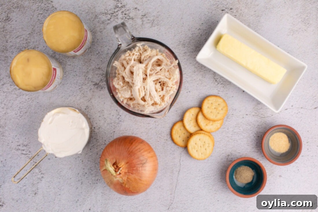 A collection of fresh ingredients laid out, including chicken breasts, canned soup, sour cream, onions, spices, Ritz crackers, and butter, ready for making Ritz Cracker Chicken Casserole.