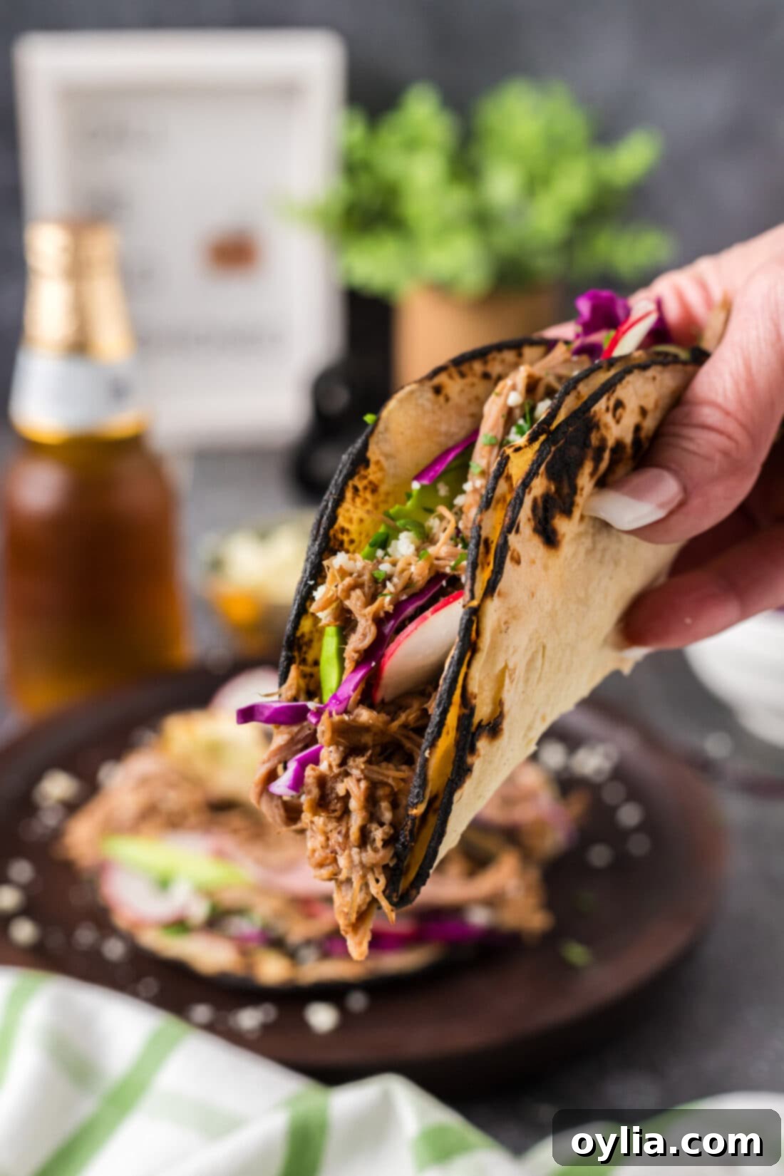 Ultimate Pulled Pork Tacos 3 Hand holding up a Pulled Pork Taco, showcasing the tender pork and colorful toppings like red cabbage and cheese.