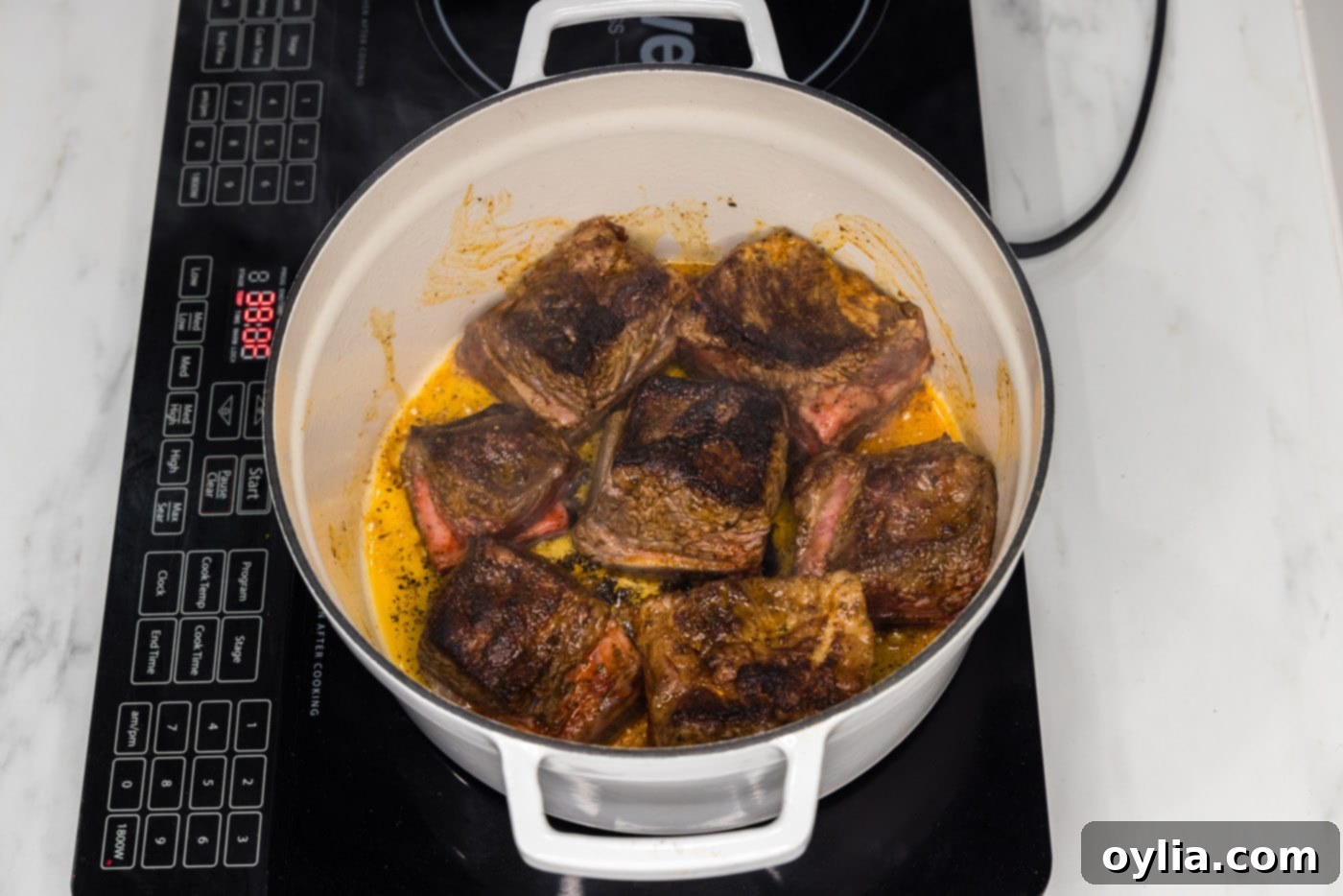 seared short ribs in a dutch oven