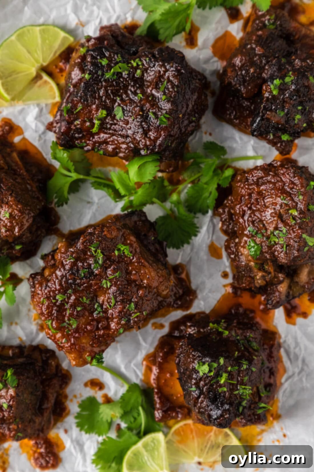 Smoky Mexican Short Ribs 17 Overhead photo of Mexican Short Ribs on a platter