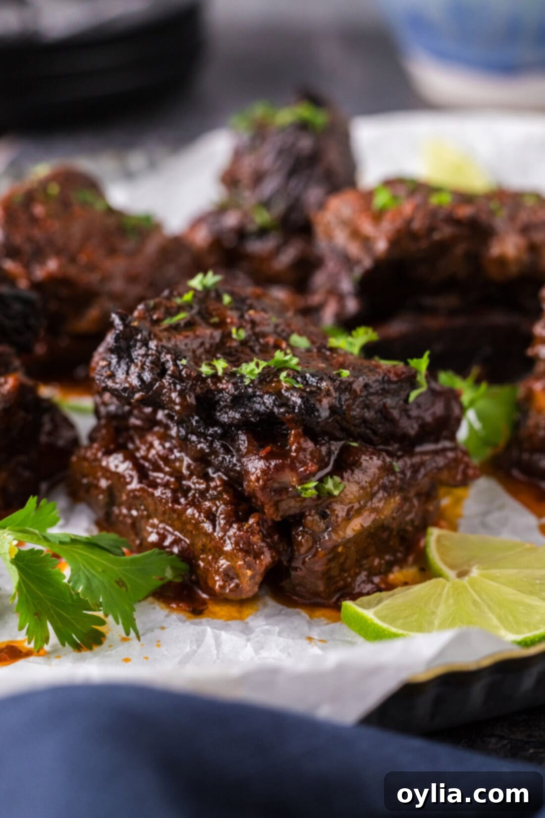 Smoky Mexican Short Ribs 3 Close up photo of a Mexican Short Rib