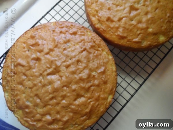 Two freshly baked Merryfield apple cakes cooling on a wire rack, having achieved a beautiful golden brown color.
