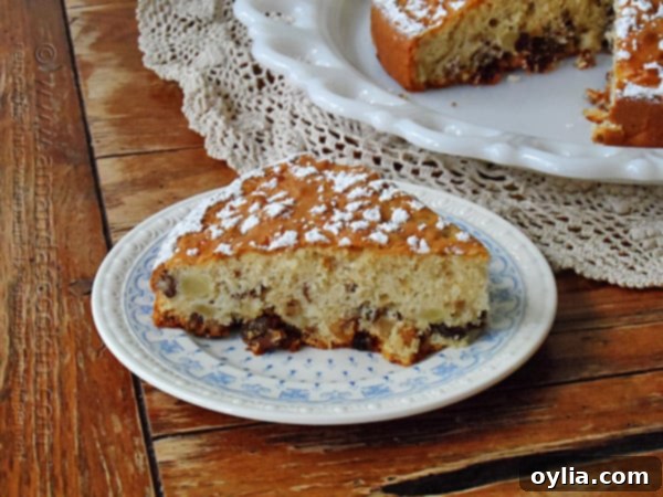 A perfectly sliced piece of Merryfield apple cake resting on an elegant white and blue plate, ready to be enjoyed.