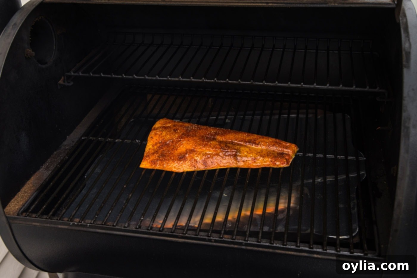 Salmon fillet placed skin-side down on smoker grates