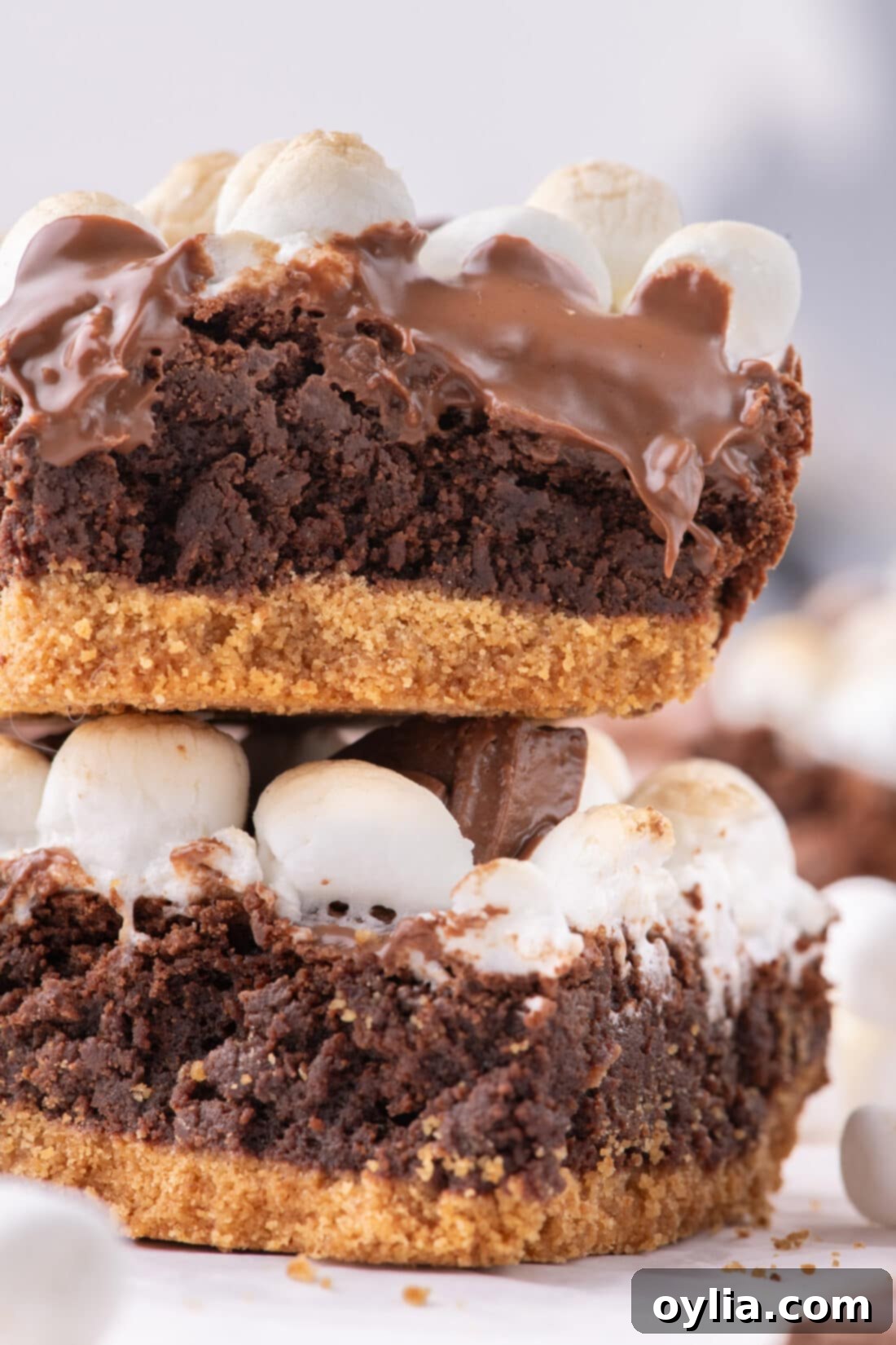 Two S'mores Brownies stacked on top of each other, showcasing the distinct layers of graham cracker crust, fudgy brownie, and toasted marshmallow with melted chocolate.