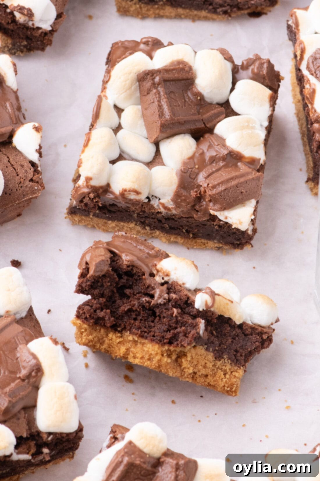 A S'mores Brownie cut in half to show the layered interior, with another whole brownie beside it, highlighting the gooey marshmallow and chocolate topping and the crisp graham cracker base.