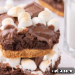 Close up photo of a stack of S'mores Brownies, highlighting the perfectly toasted marshmallow peaks and rich layers.