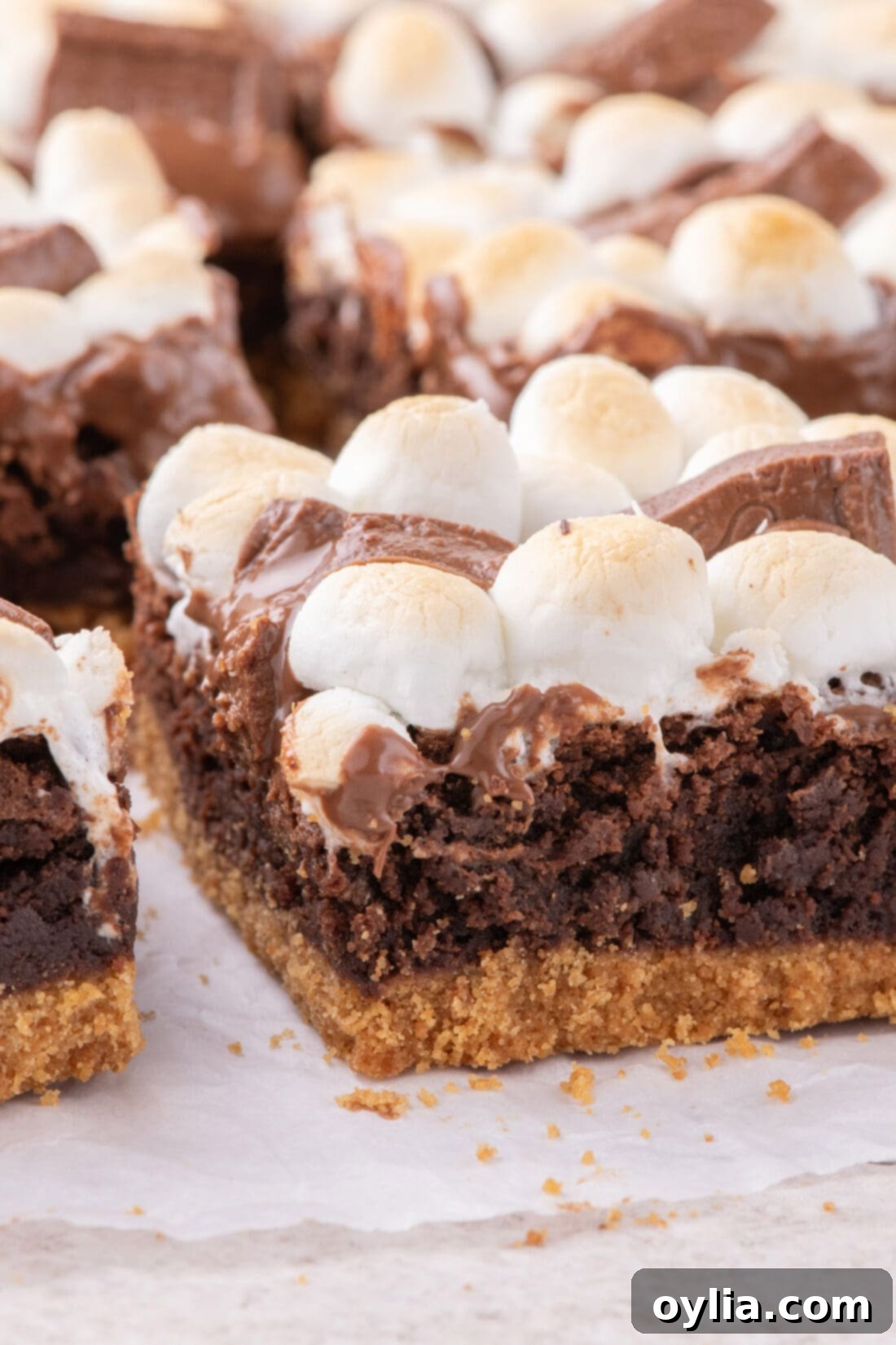 Close up photo of a S'mores Brownie showing the distinct layers of graham cracker crust, fudge brownie, and perfectly toasted marshmallow with melted chocolate.