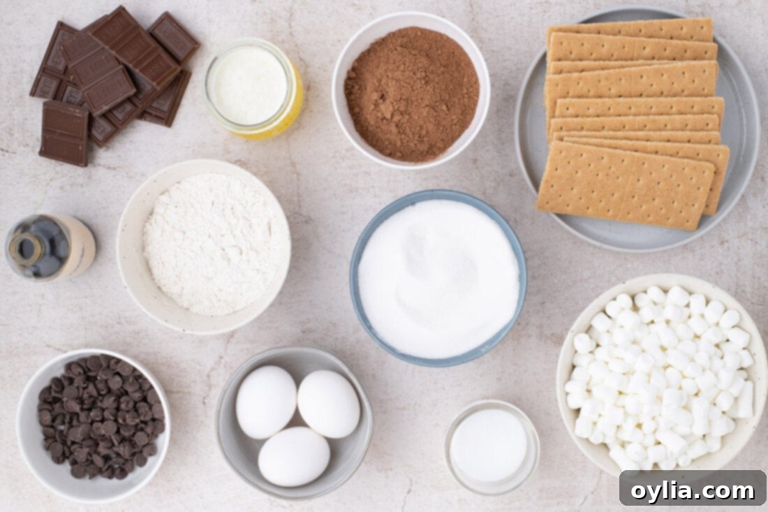 Various ingredients for S'mores Brownies laid out on a white surface, including graham crackers, chocolate chips, cocoa powder, butter, eggs, granulated sugar, mini marshmallows, and a Hershey's chocolate bar.