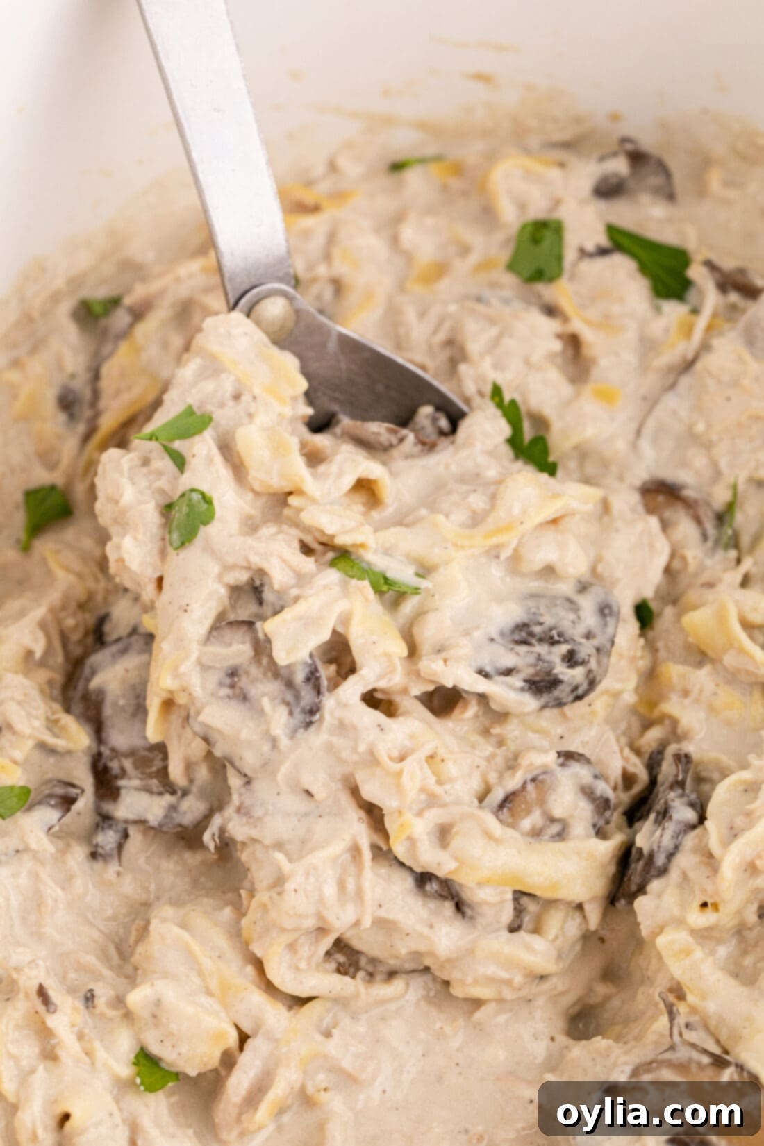 Close up photo of a spoonful of creamy Slow Cooker Chicken Stroganoff, showing tender chicken, mushrooms, and egg noodles.