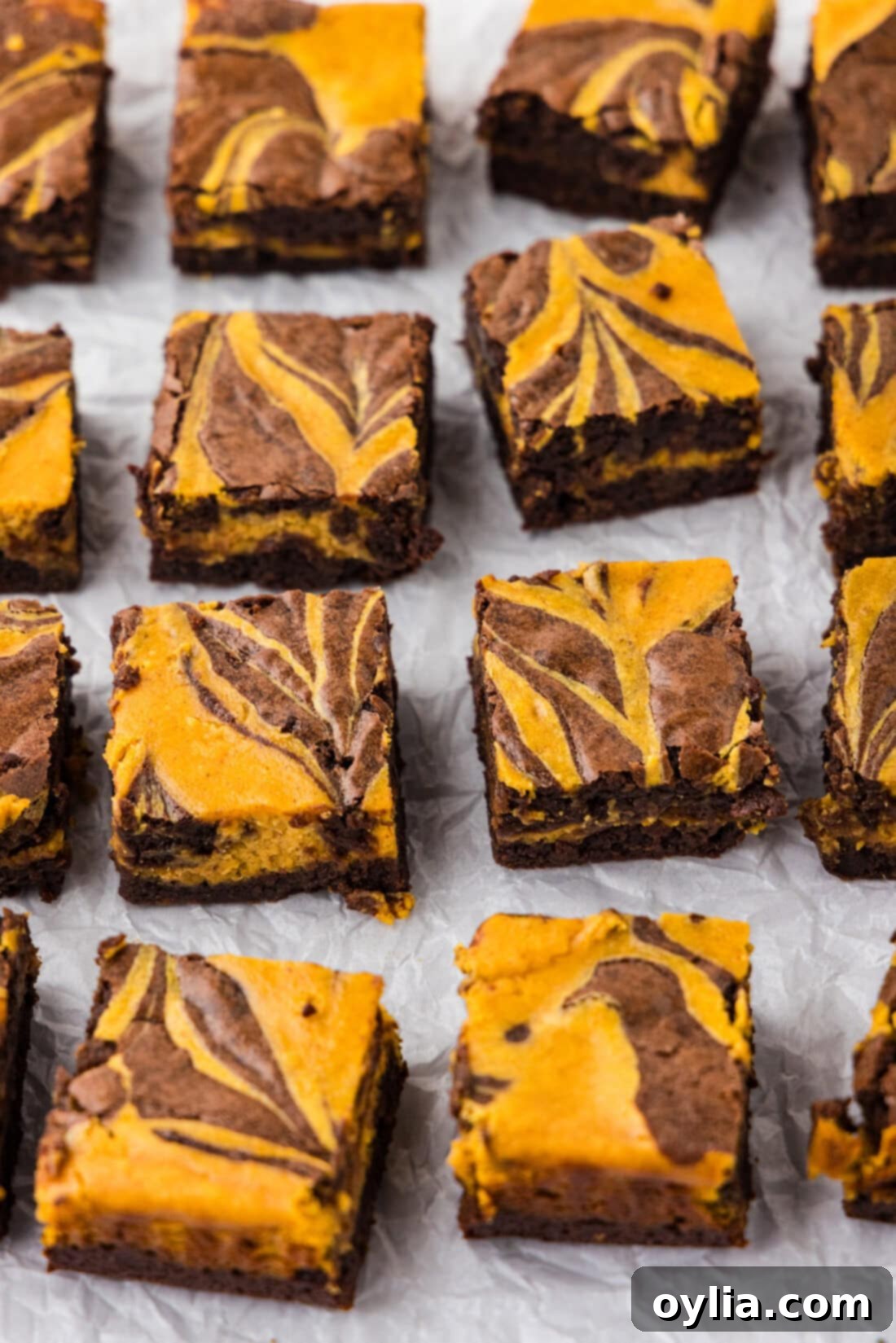 Spiced Pumpkin Swirl Cheesecake Brownies 16 Perfectly cut squares of Marbled Pumpkin Cheesecake Brownies on a white platter