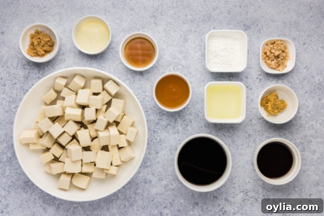 Ingredients for Teriyaki Tofu