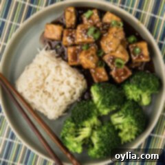 Close up photo of Teriyaki Tofu on a plate with rice and broccoli