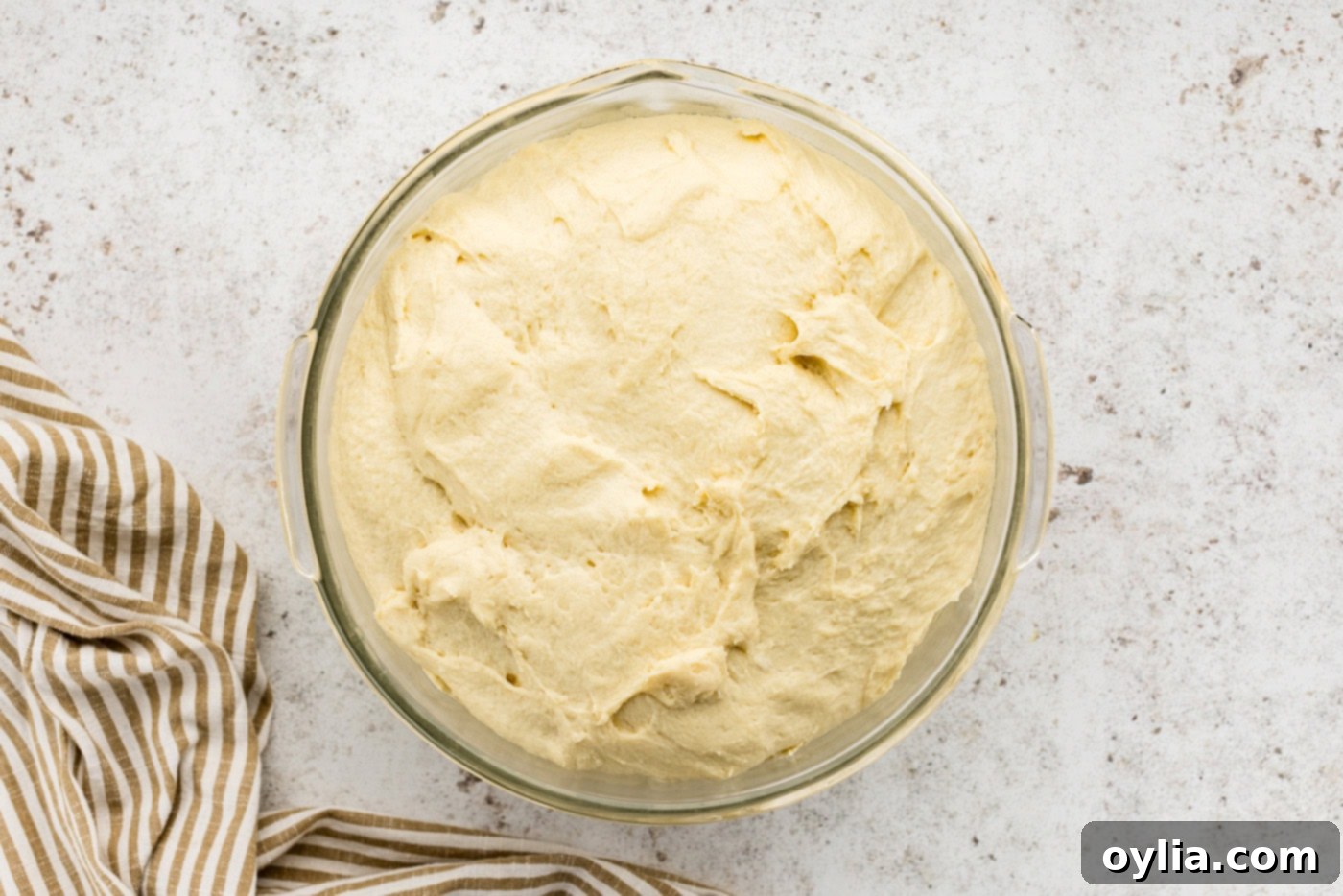 Risen dough in a bowl