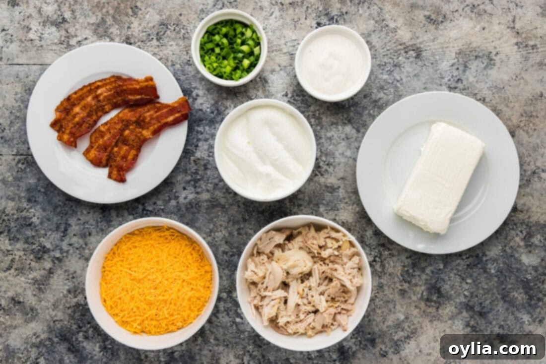 All the ingredients for Chicken Bacon Ranch Dip laid out on a counter