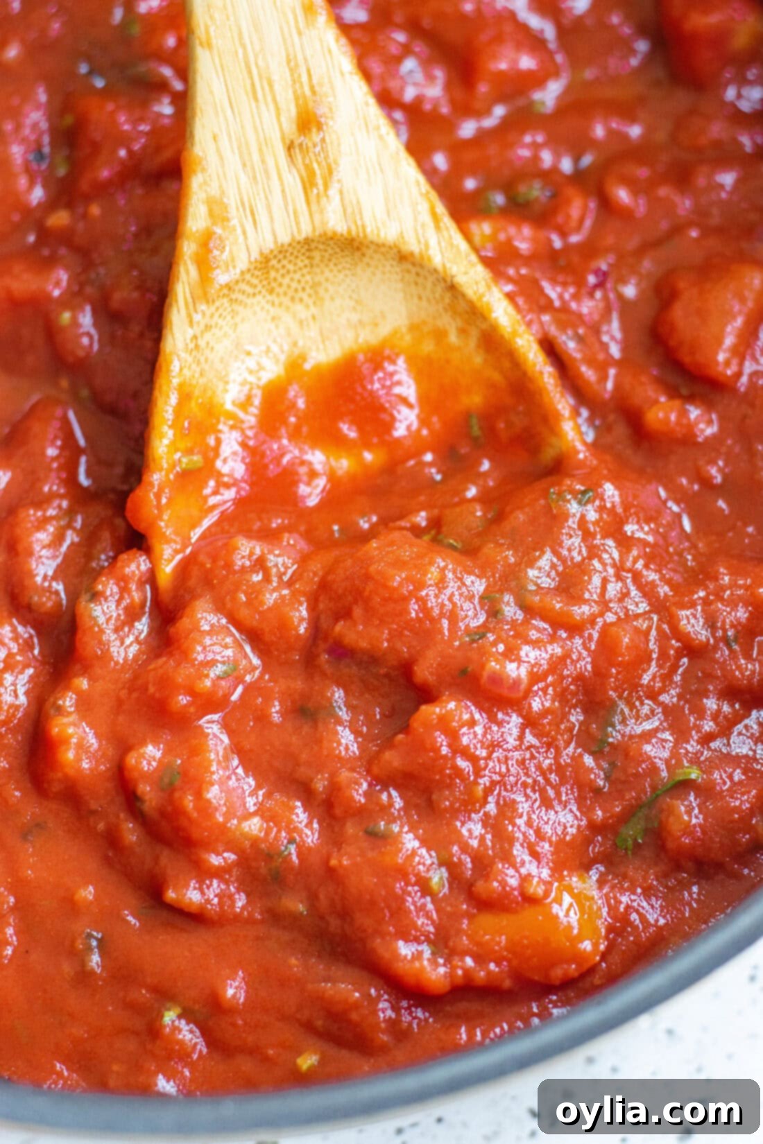 Homemade Marinara: A Taste of Italy 2 Close up photo of a spoonful of delicious homemade Marinara Sauce